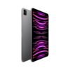 APPLE iPad Pro 11 Wi-Fi (2022), Tablet, 256 GB, 11 Zoll, Silber