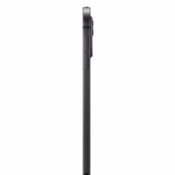 APPLE IPAD PRO 11 WF CL 256GB SP BLK-BNL, Tablet, 256 GB, 11 Zoll, Space Schwarz