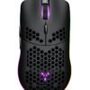 PNY VCG306012SFXPPB (NVIDIA, Grafikkarten)